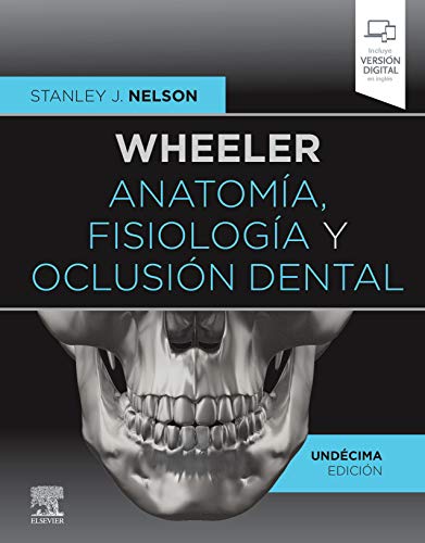 Wheeler. Anatomía, fisiología y oclusión dental von Elsevier