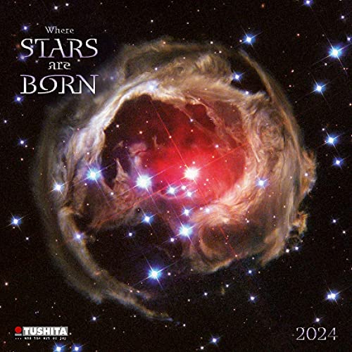 Where Stars are Born 2024: Kalender 2024 (Mindful Edition) von Tushita PaperArt