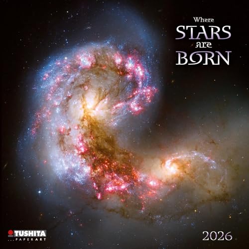 Where Stars are Born 2026: Kalender 2026 (Mindful Edition) von Tushita PaperArt