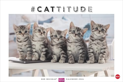 Whiskas Katzenkalender 2026: Foto-Wandkalender mit süßen Katzen und lustigen Geschichten. Wandkalender 2026 in schönem Design. Bildkalender 2026. Querformat 45 x 30 cm. Whiskas Katzenkalender 2026: Foto-Wandkalender mit süßen Katzen und lustigen Geschichten. Wandkalender 2026 in schönem Design. Bildkalender 2026. Querformat 45 x 30 cm. von Heye