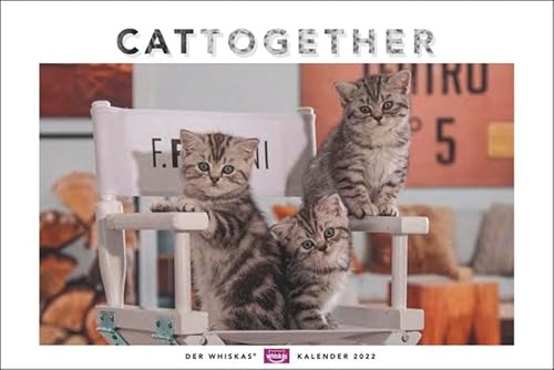 Whiskas Katzenkalender 2022 von Heye Kalender