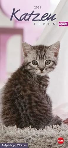 Whiskas Katzenleben Kalender 2021 von Heye