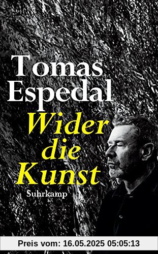 Wider die Kunst (suhrkamp taschenbuch)