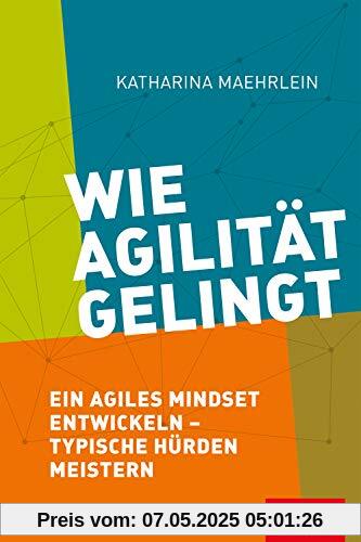 Wie Agilität gelingt: Ein agiles Mindset entwickeln – typische Hürden meistern (Dein Business)