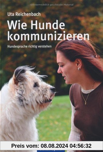 Wie Hunde kommunizieren: Hundesprache richtig verstehen