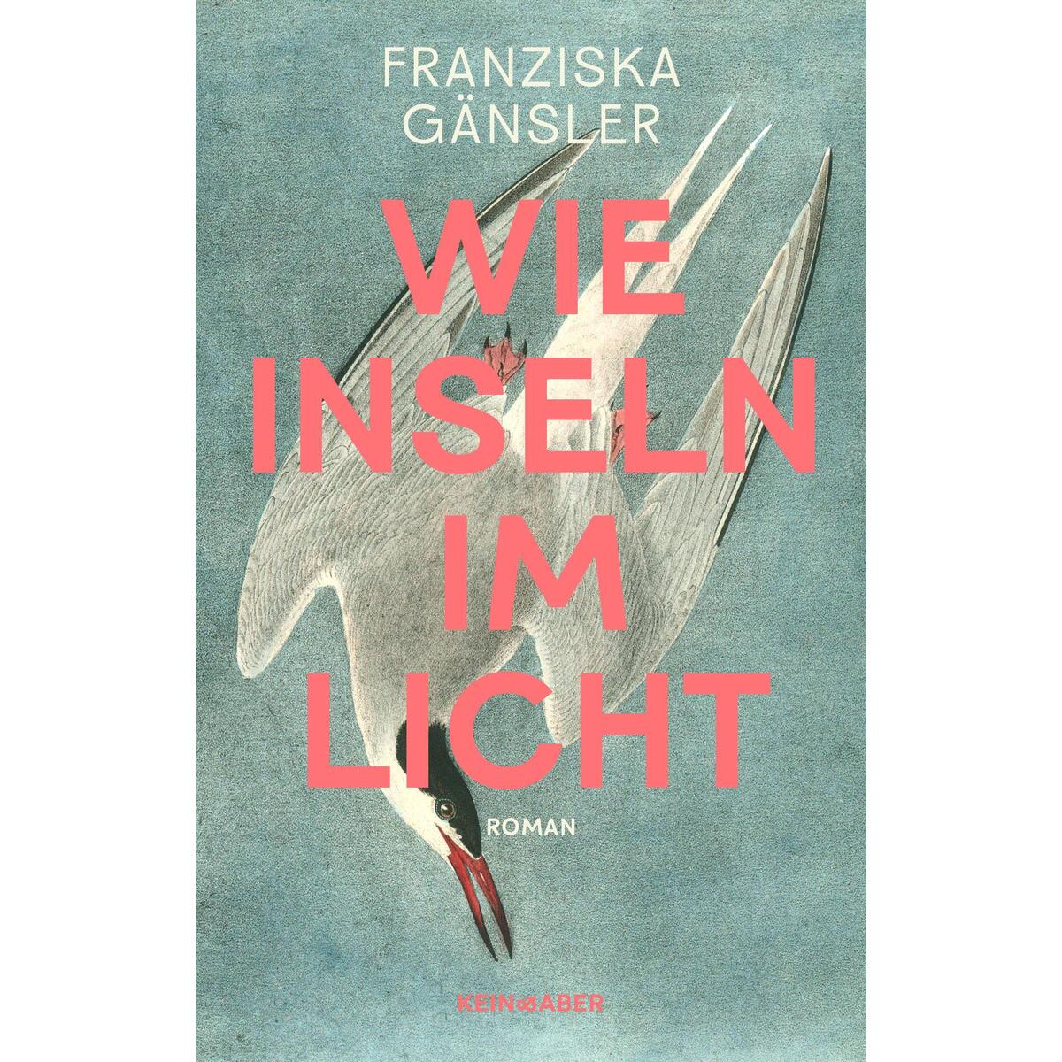 Wie Inseln im Licht Wie Inseln im Licht von Kein + Aber