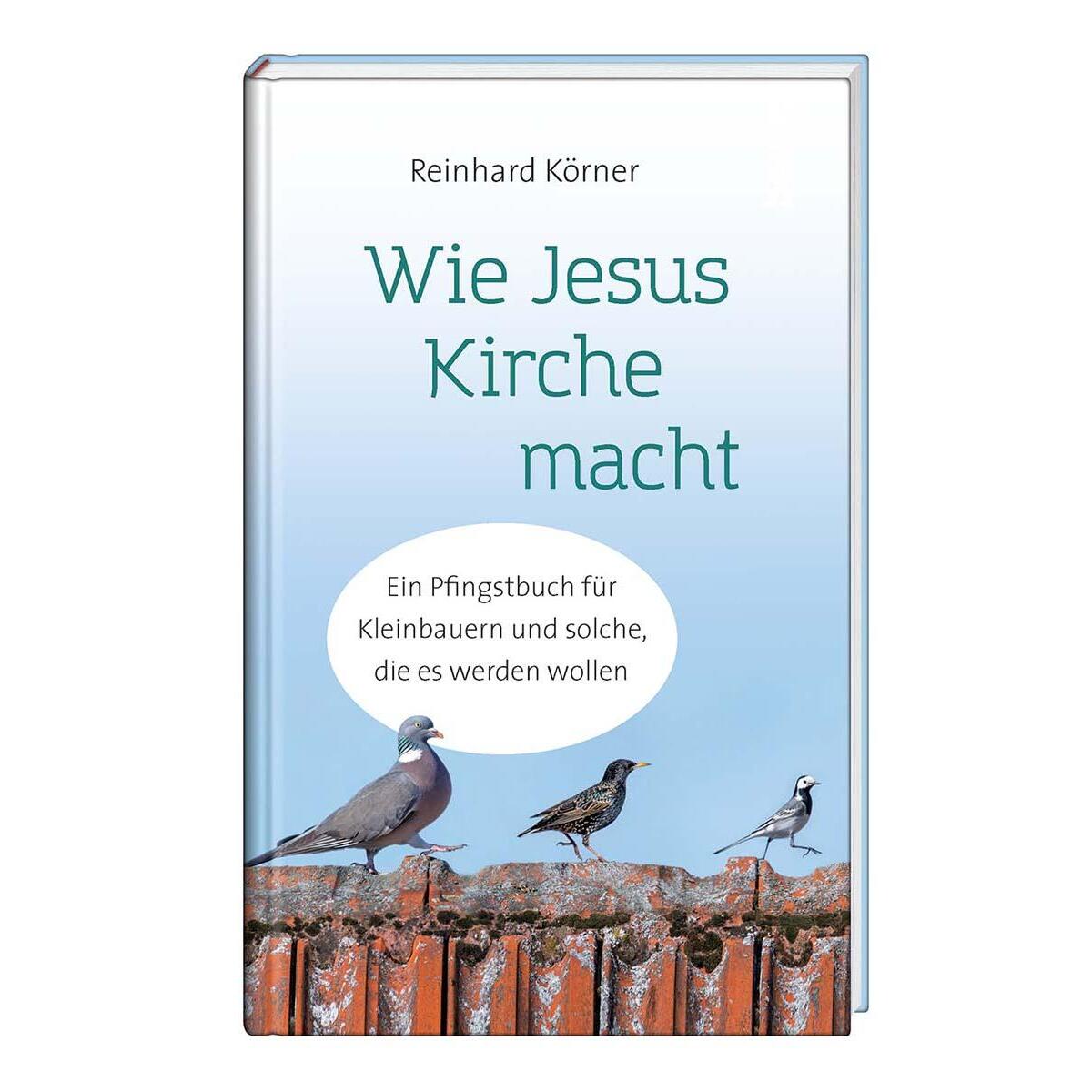 Wie Jesus Kirche macht Wie Jesus Kirche macht von St. Benno Verlag