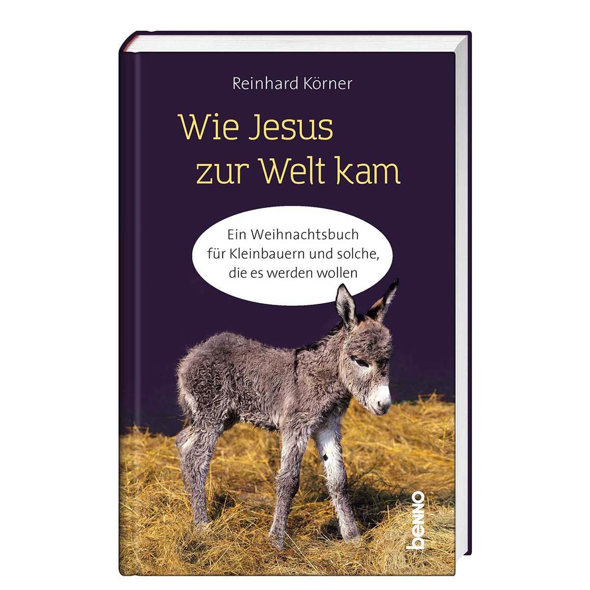 Wie Jesus zur Welt kam von St. Benno Verlag