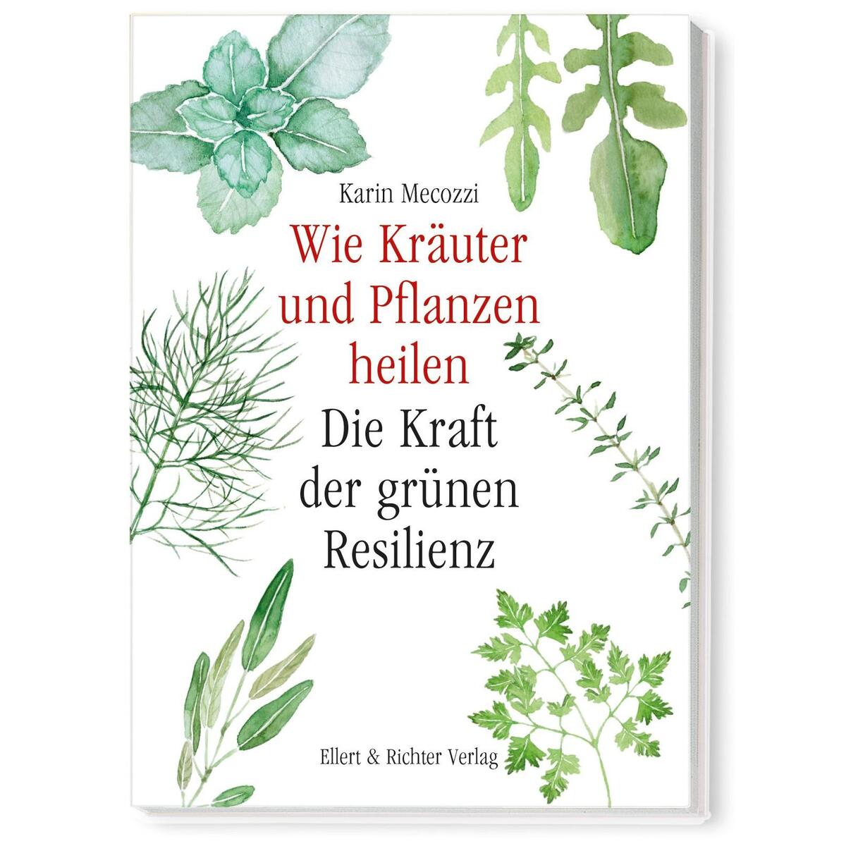 Wie Kräuter und Pflanzen heilen von Ellert & Richter Verlag G