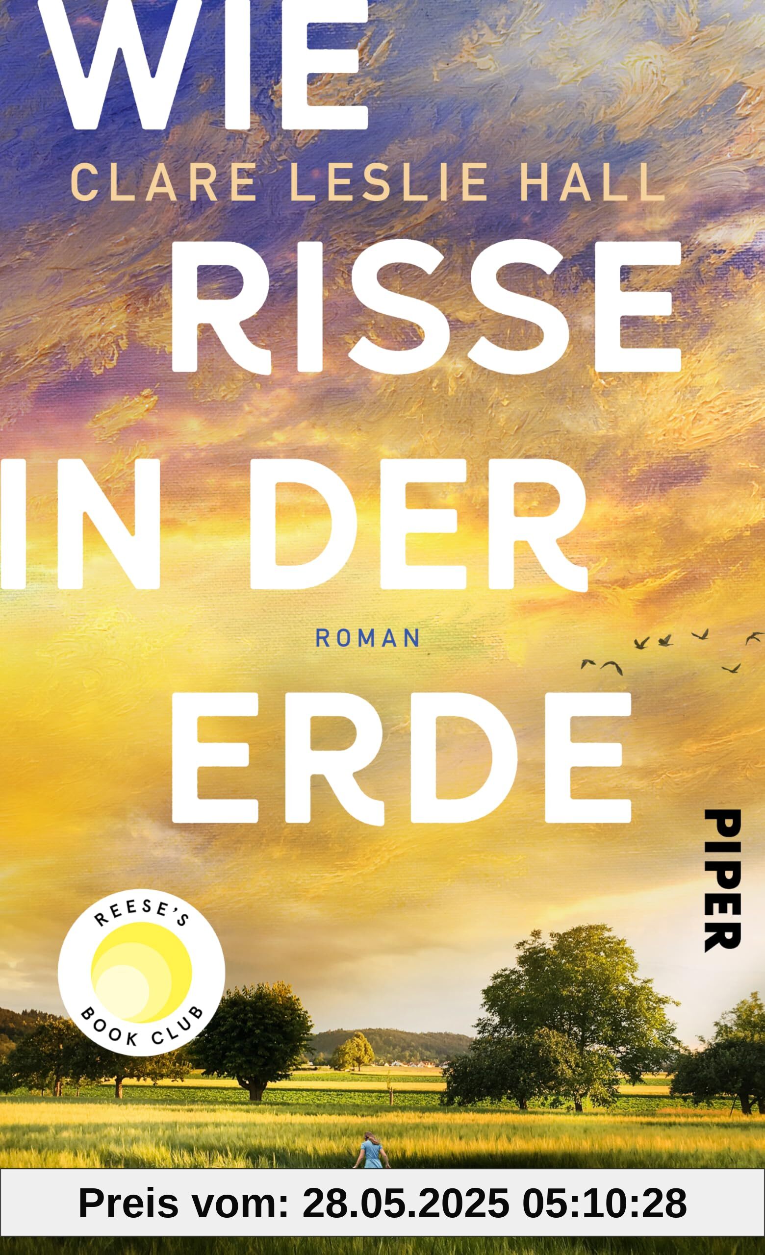 Wie Risse in der Erde: Roman | 'Ein Buch, das man vielleicht nie in seinem Leben wieder vergisst.' Deutschlandfunk Kultur