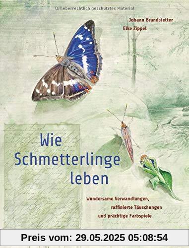 Wie Schmetterlinge leben: Wundersame Verwandlungen, raffinierte Täuschungen und prächtige Farbspiele Wie Schmetterlinge leben: Wundersame Verwandlungen, raffinierte Täuschungen und prächtige Farbspiele