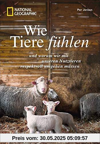 Wie Tiere fühlen und warum wir mit unseren Nutztieren respektvoll umgehen müssen. Ein Plädoyer für eine bessere Welt, mehr Tierwohl und Tierschutz sowie ein Aufruf gegen Massentierhaltung. Wie Tiere fühlen und warum wir mit unseren Nutztieren respektvoll umgehen müssen. Ein Plädoyer für eine bessere Welt, mehr Tierwohl und Tierschutz sowie ein Aufruf gegen Massentierhaltung.