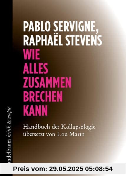 Wie alles zusammenbrechen kann: Handbuch der Kollapsologie (kritik & utopie)