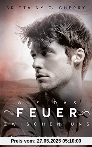 Wie das Feuer zwischen uns (Romance Elements, Band 2)