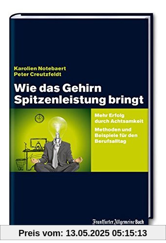 Wie das Gehirn Spitzenleistung bringt: Mehr Erfolg durch Achtsamkeit - Methoden und Beispiele für den Berufsalltag