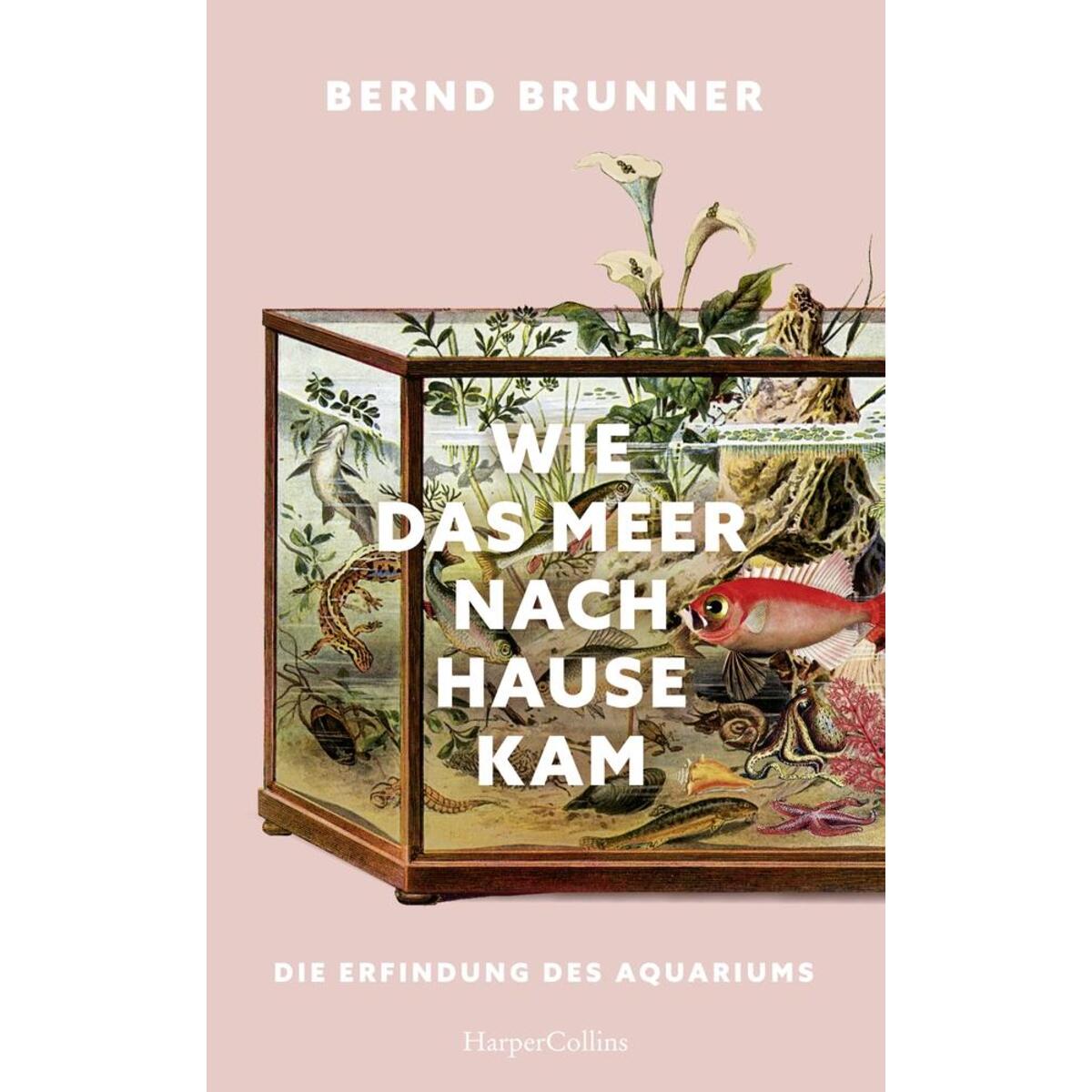 Wie das Meer nach Hause kam. Die Erfindung des Aquariums Wie das Meer nach Hause kam. Die Erfindung des Aquariums von HarperCollins Hardcover