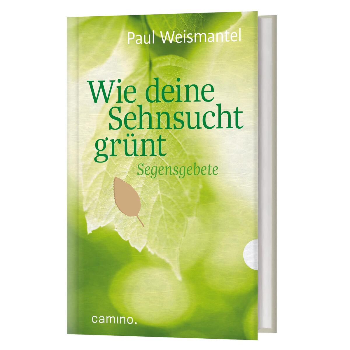 Wie deine Sehnsucht grünt von camino