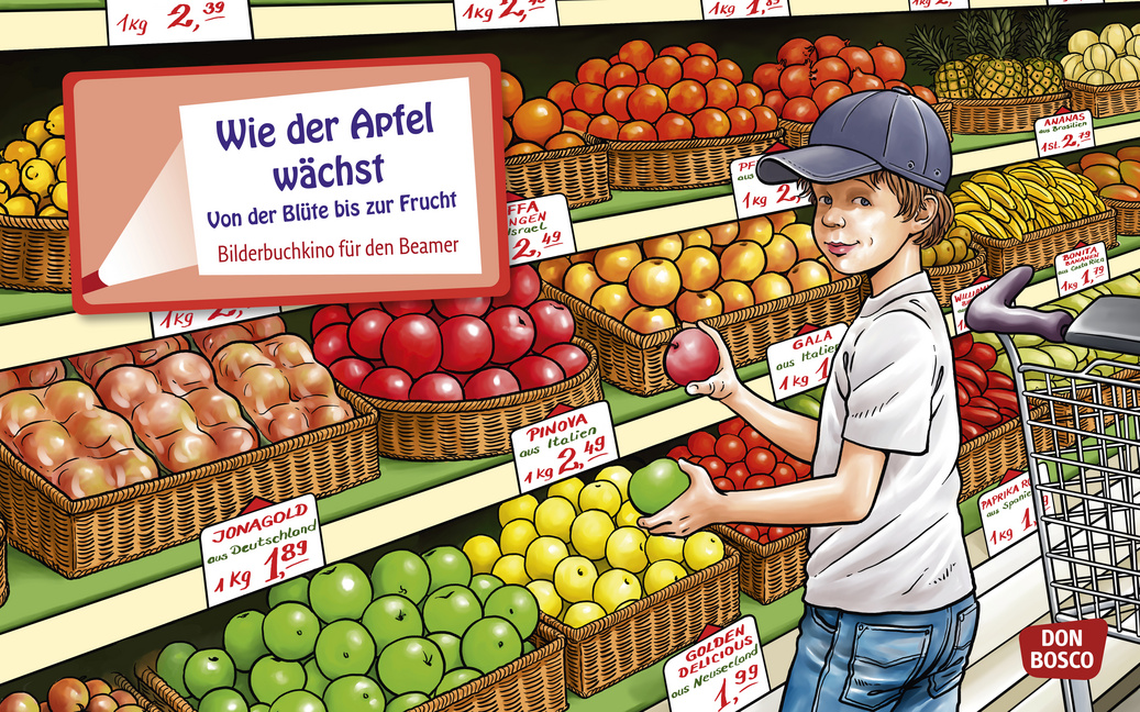 Wie der Apfel wächst. Von der Blüte bis zur Frucht. eKami.