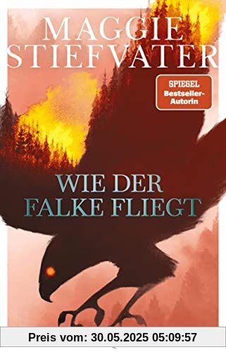 Wie der Falke fliegt (Dreamer-Trilogie, Band 1)