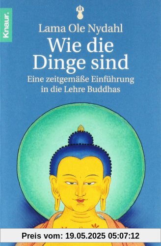 Wie die Dinge sind: Eine zeitgemäße Einführung in die Lehre Buddhas