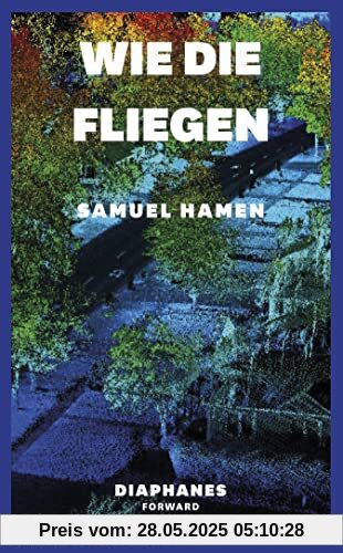 Wie die Fliegen (DIAPHANES FORWARD FICTION)