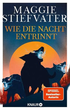 Wie die Nacht entrinnt / Dreamer-Trilogie Bd.3 von Knaur
