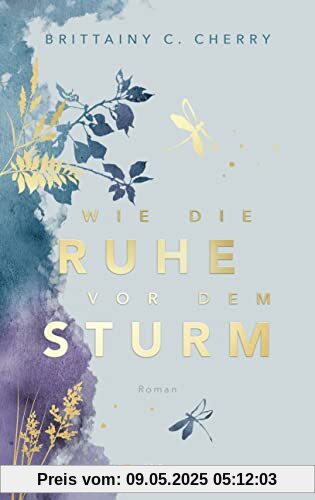 Wie die Ruhe vor dem Sturm: Special Edition (Chances-Reihe, Band 1)