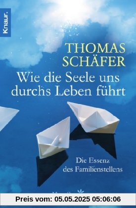 Wie die Seele uns durchs Leben führt: Die Essenz des Familien-Stellens