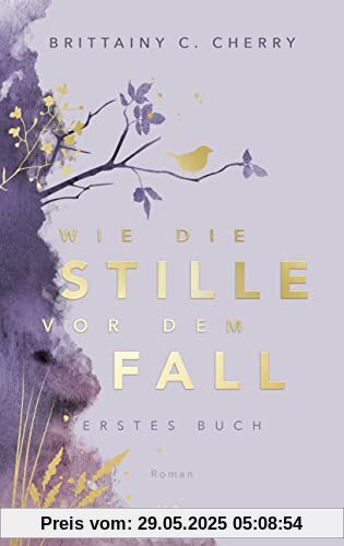 Wie die Stille vor dem Fall. Erstes Buch: Special Edition (Chances-Reihe)