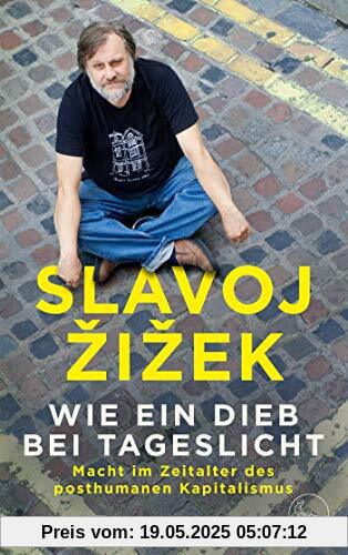 Wie ein Dieb bei Tageslicht: Macht im Zeitalter des posthumanen Kapitalismus Wie ein Dieb bei Tageslicht: Macht im Zeitalter des posthumanen Kapitalismus
