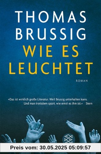 Wie es leuchtet: Roman