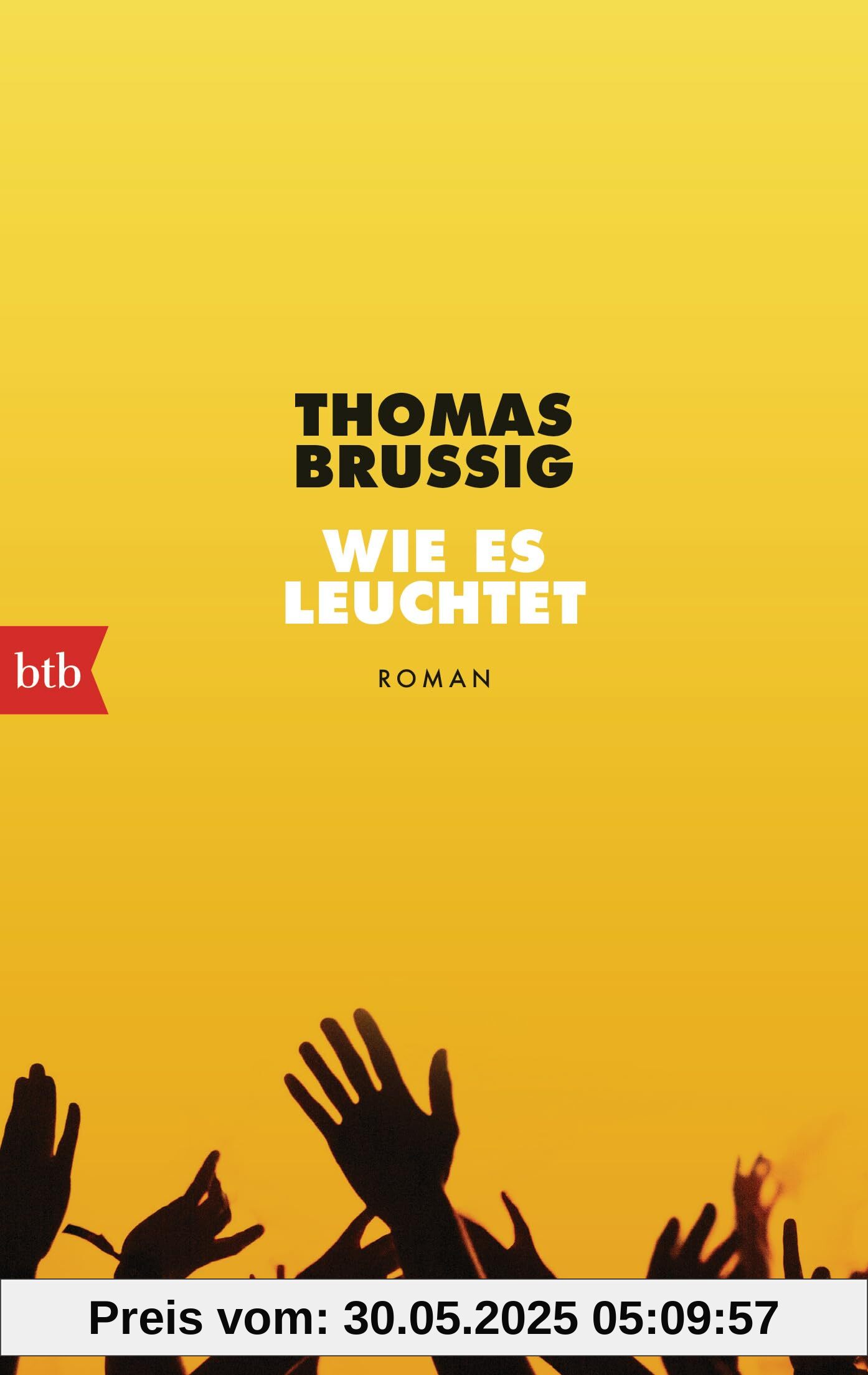 Wie es leuchtet: Roman