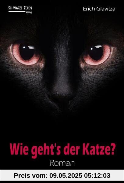 Wie geht´s der Katze?: Eine Katze, ein Pilot und drei Dominas