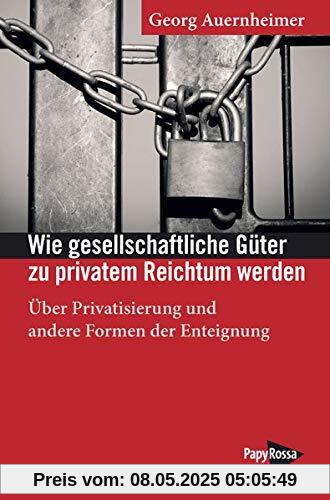 Wie gesellschaftliche Güter zu privatem Reichtum werden: Über Privatisierung und andere Formen der Enteignung (Neue Kleine Bibliothek)