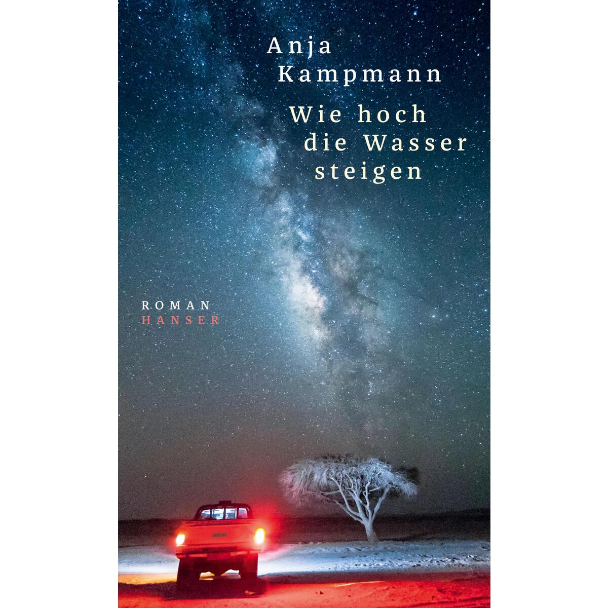 Wie hoch die Wasser steigen Wie hoch die Wasser steigen von Carl Hanser Verlag