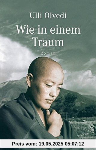 Wie in einem Traum: Roman