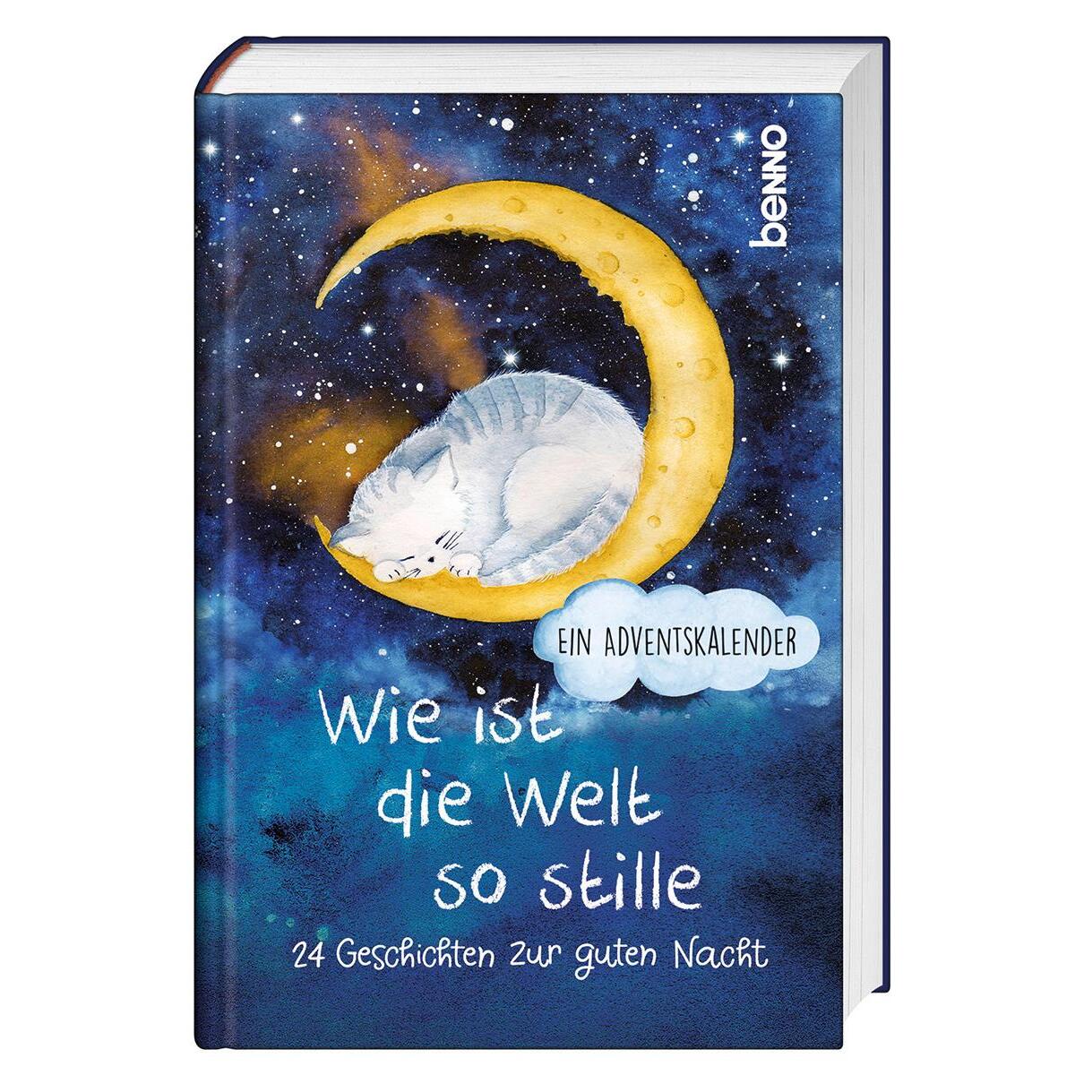 Wie ist die Welt so stille von St. Benno Verlag