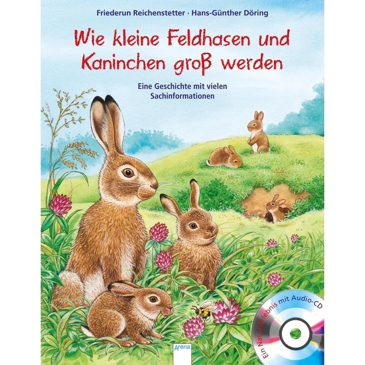 Wie kleine Feldhasen und Kaninchen groß werden Wie kleine Feldhasen und Kaninchen groß werden von Arena Verlag GmbH