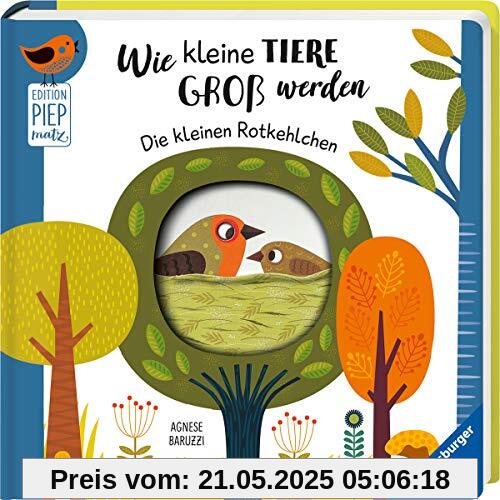 Wie kleine Tiere groß werden: Die kleinen Rotkehlchen (Edition Piepmatz)