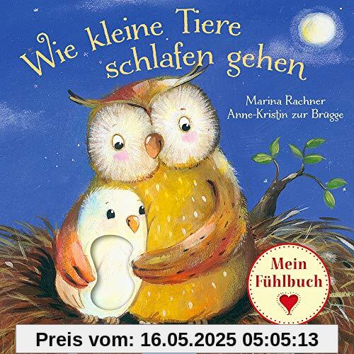 Wie kleine Tiere schlafen gehen: Mein Fühlbuch