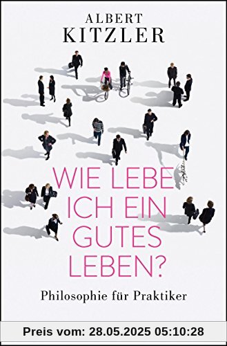 Wie lebe ich ein gutes Leben?: Philosophie für Praktiker