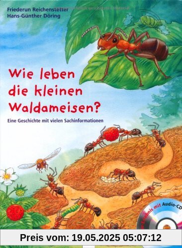 Wie leben die kleinen Waldameisen?: Eine Geschichte mit vielen Sachinformationen