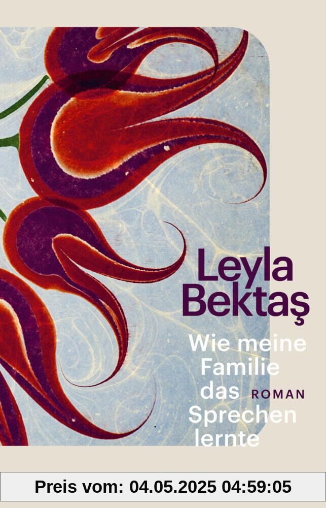 Wie meine Familie das Sprechen lernte: Roman | Debüt | Ein Familienepos mit literarischer Strahlkraft