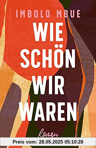 Wie schön wir waren: Roman