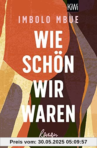 Wie schön wir waren: Roman