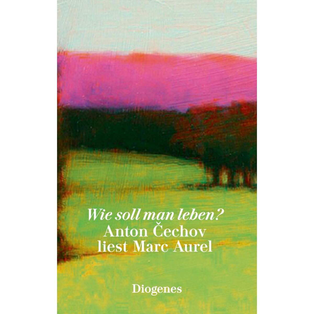 Wie soll man leben? von Diogenes Verlag AG