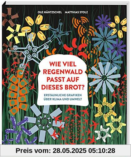 Wie viel Regenwald passt auf dieses Brot?: Erstaunliche Grafiken über Klima und Umwelt