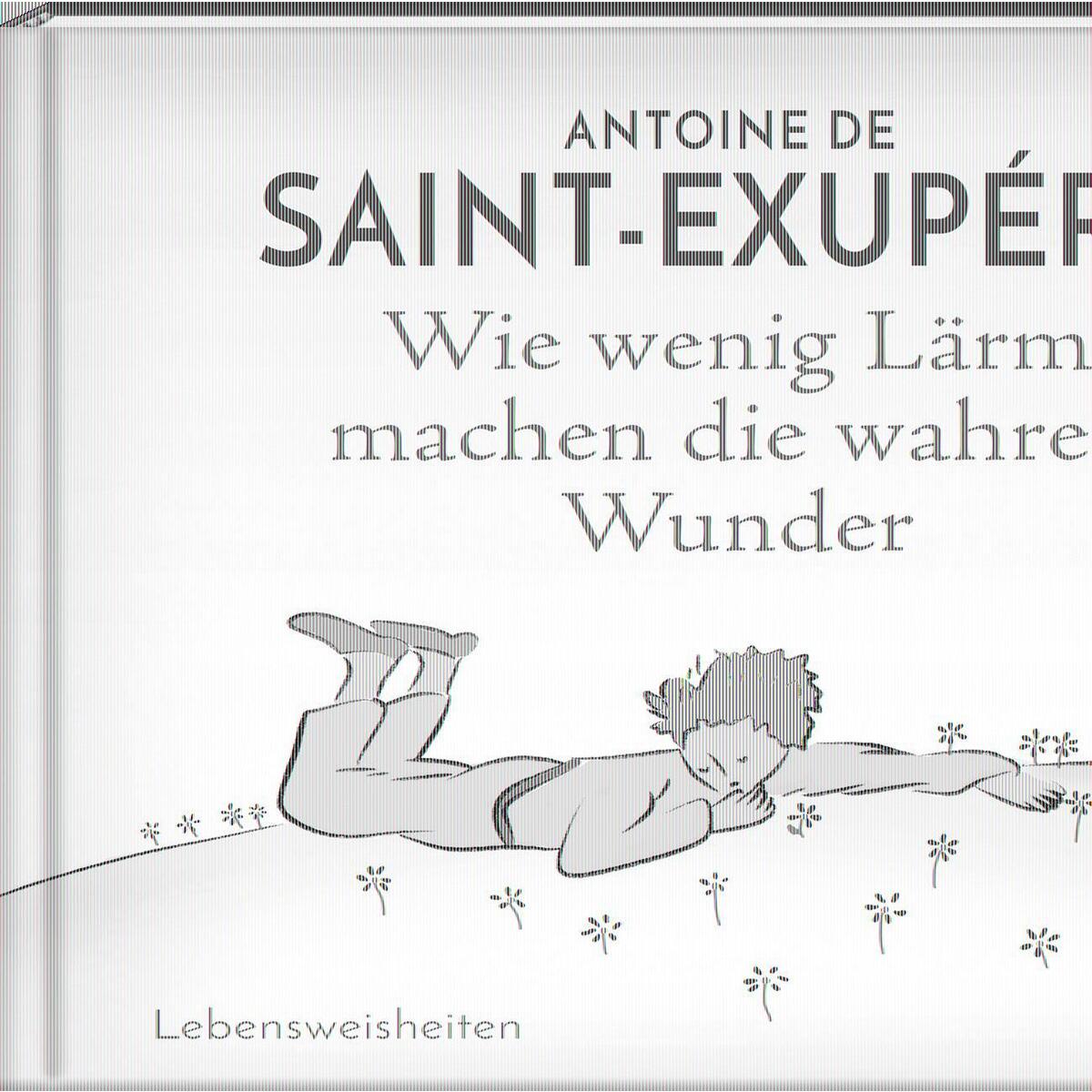 Wie wenig Lärm machen die wahren Wunder Wie wenig Lärm machen die wahren Wunder von Steffen Verlag