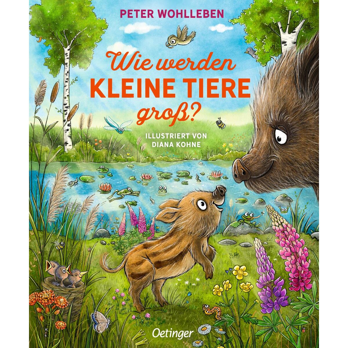 Wie werden kleine Tiere groß? Wie werden kleine Tiere groß? von Oetinger
