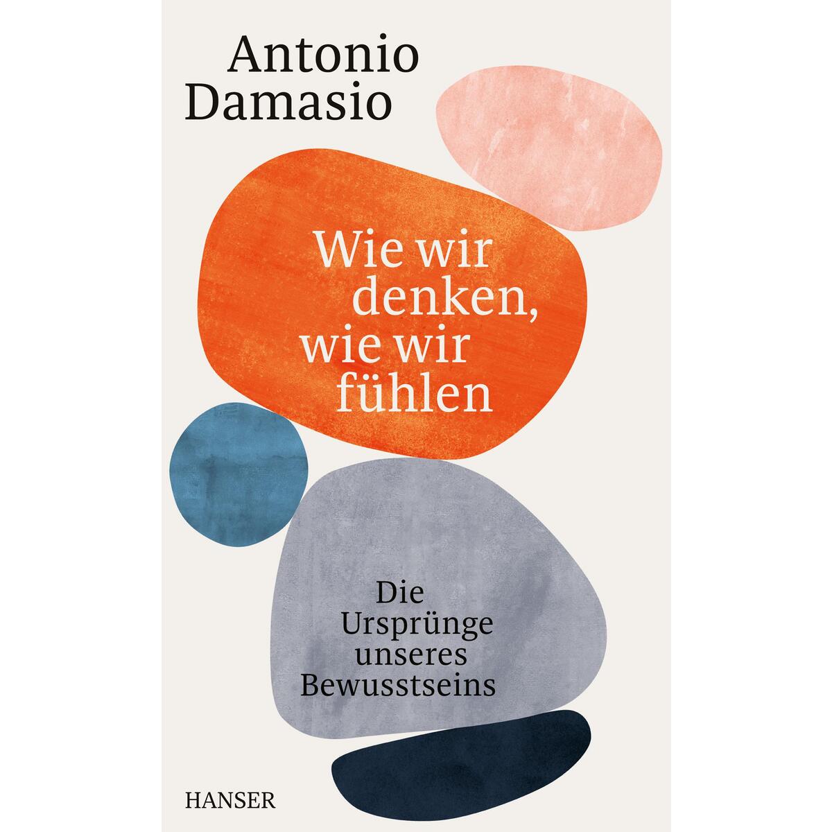 Wie wir denken, wie wir fühlen von Carl Hanser Verlag